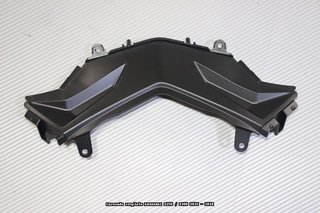 Oferta especial Carenado KAWASAKI Z250 / Z300 2015