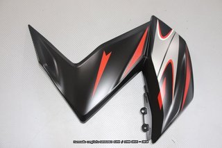 Oferta especial Carenado KAWASAKI Z250 / Z300 2015