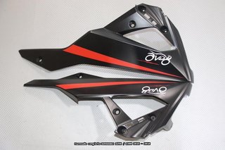 Oferta especial Carenado KAWASAKI Z250 / Z300 2015