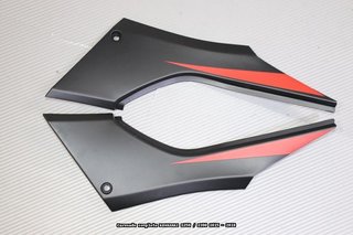 Oferta especial Carenado KAWASAKI Z250 / Z300 2015
