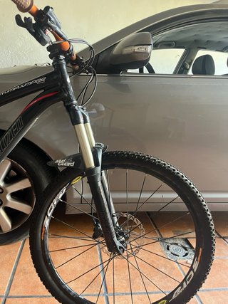 Bicicleta Enduro Mtb Specialized