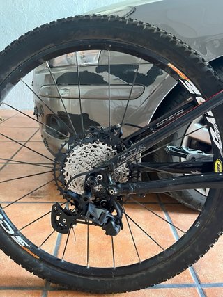 Bicicleta Enduro Mtb Specialized