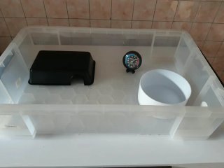 Rak per rettili