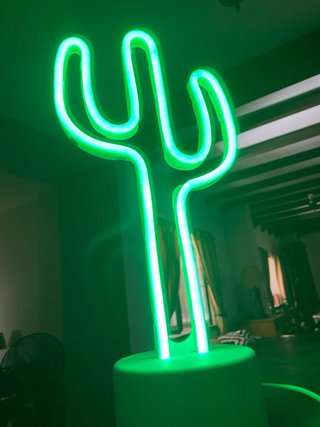 Lámpara Neón Cactus