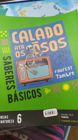 14 Libros de Sexto de Primaria.
