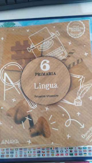 14 Libros de Sexto de Primaria.