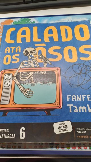14 Libros de Sexto de Primaria.