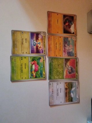 Lote Cartas Pokémon