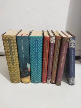 Lote 8 novelas históricas y biografías noveladas