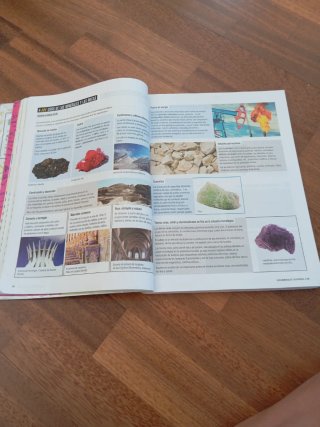 Proyecto: FanFest - Biología, Geología y Cienci...