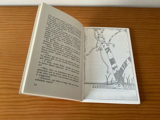 Libros Barcos de Vapor, SM