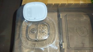Jaula hámsteres y roedores con accesorios