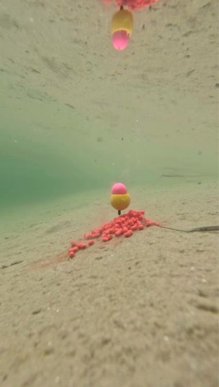 Stick Mix Carp Fishing | PVA