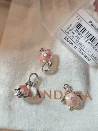 Lote Pandora Charms Flor Tortuga Taza
