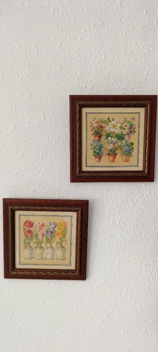 Juego de 2 cuadros decorativos de flores