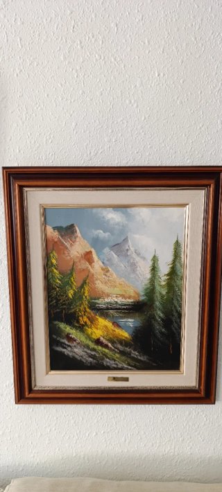 Cuadro paisaje montañas y río
