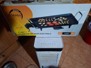 Plancha de Asar Eléctrica FETERSA JF-3049