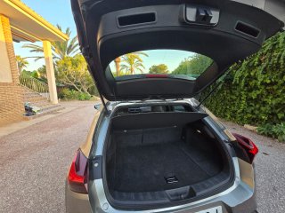 Lexus UX 250h 2019