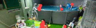 Piscina Ovalada Grande