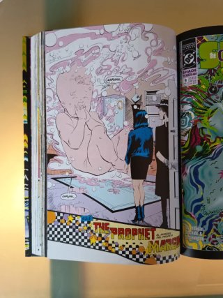 Shade, the changing man de peter milligan y chr...