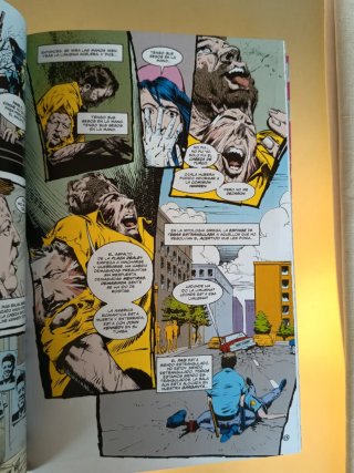 Shade, the changing man de peter milligan y chr...
