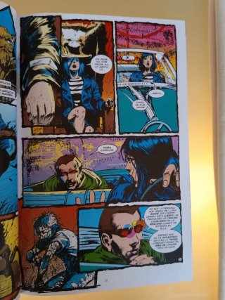 Shade, the changing man de peter milligan y chr...