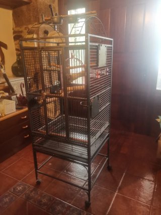 Jaula grande para pájaros/loros +accesorios varios