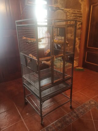 Jaula grande para pájaros/loros +accesorios varios