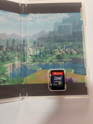 The Legend of Zelda: Echoes of Wisdom Switch