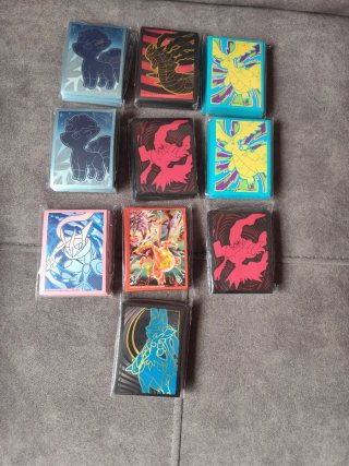 Fundas Elite Trainer Pokemon