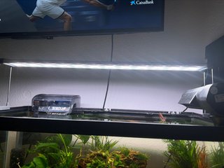 Luz LED para acuario