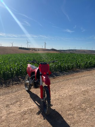 Rxf 190 roan