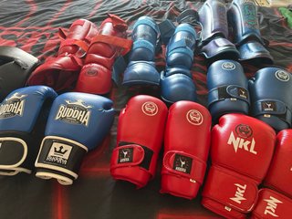 Guantes y tibiales boxeo y kickboxing Lote