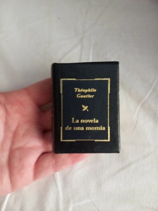 Mini libro:La novela de una momia