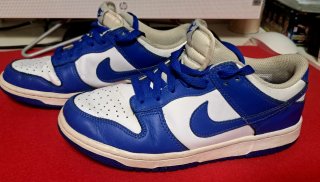 Nike Dunk Low Azul y Blanco