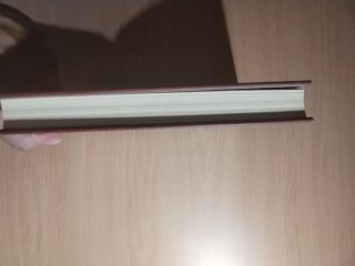 Diario de Greg 7. Buscando plan...