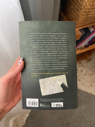 La desaparición de Stephanie Mailer