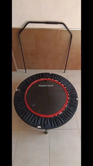 Cama elástica con barra Flamrose