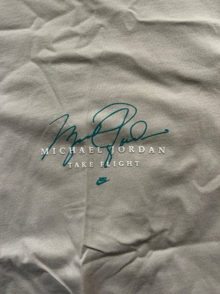 Camiseta Jordan Michael Jordan Take Flight