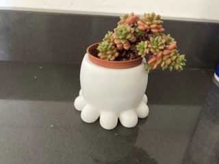 Vasetto decorativo Polipo Bianco 3D