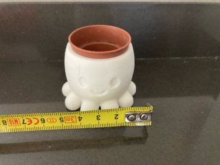 Vasetto decorativo Polipo Bianco 3D