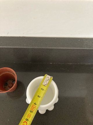 Vasetto decorativo Polipo Bianco 3D