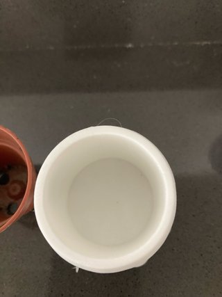 Vasetto decorativo Polipo Bianco 3D