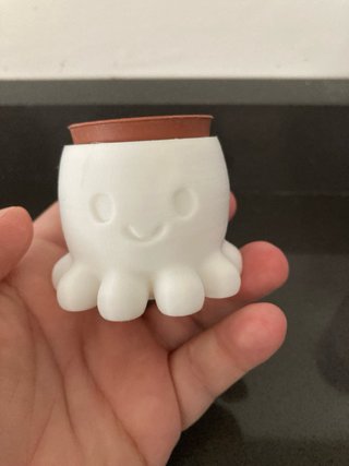Vasetto decorativo Polipo Bianco 3D