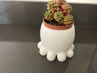 Vasetto decorativo Polipo Bianco 3D