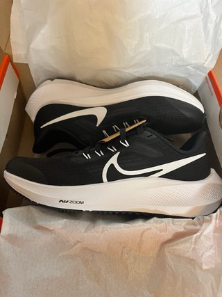 Nike Air Zoom Pegasus 39 NN GG 3Y