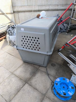 Jaula Transporte para Perro/Gato, Negociable.