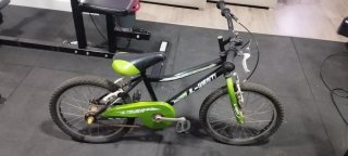 Bicicleta infantil verde