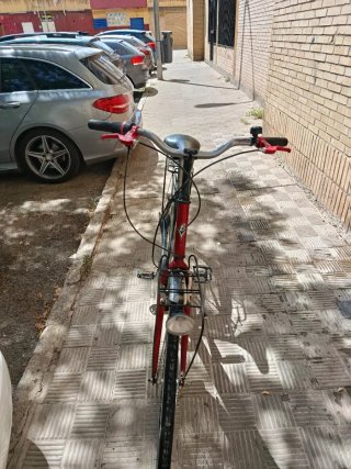 Bicicleta Paseo/Montaña