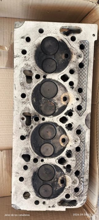 Culata para Peugeot J5, Citroen C25 y Fiat Ducato